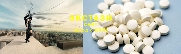 ECSTASY Богданович